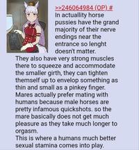 >>246064984 (OP) # In actuallity horse p------ have the grand majority of their nerve endings near the entrance so lenght doesn't matter. They also have very strong muscles there to squeeze and accommodate the smaller girth, they can tighten themself up to envelop something as thin and small as a pinkey finger. Mares actually prefer mating with humans because male horses are pretty infamous quickshots. so the mare basically does not get much pleasure as they take much longer to orgasm. This is where a humans much better sexual stamina comes into play.