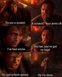 Tis but a scratch A scratch? Your arms off I've had worse You liar, you've got no legs! It's just a flesh wound Ok I'm done