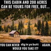 A "meme":https://knowyourmeme.com/memes/memes about having a cabin with 200 acres but you can never dig in yo butt again.