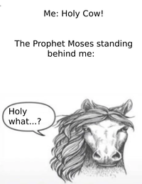 They took that kind of stuff seriously back then | History Memes