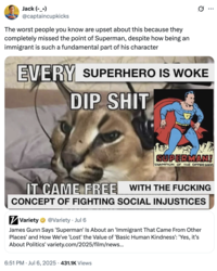X user @captaincupkicks posted a meme in response to James Gunn being criticised by the right for calling Superman an immigrant. The tweet read, "The worst people you know are upset about this because they completely missed the point of Superman, despite how being an immigrant is such a fundamental part of his character."