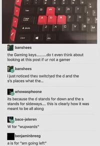 1 1 1 A E Tab G 2 W 3 E Caps Lock A Shift Cer A D N S × Alt D R T FI G C V B B M banshees the Gaming keys..........do t even think about looking at this post if ur not a gamer banshees i just noticed they switched the d and the s's places what the... whowasphoone its because the d stands for down and the s stands for sideways.... this is clearly how it was meant to be all along bace-jeleren W for "wupwards" benjaminbreeg a is for "am going left"