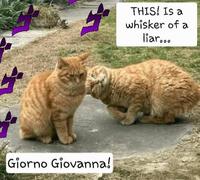 Giorno Giovanna! THIS! Is a whisker of a liar...