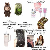 Woaler I MATCHA *overuses hello kitty* "Sybau" *makes an unfunny overused "brainrot" joke* "Ts pmo" 2025 Overconsumerism starterpack Makes random teenage girls famous for no reason ex. Embreigh, Zahide. STANLEY XX ط J "Zahide won this trend" "Embreigh is my lacy"