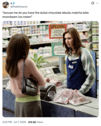 X user @freakshauna posted an image of a checkout clerk scowling at a customer alongside a caption that read, "excuse me do you have the dubai chocolate labubu matcha latte moonbeam ice cream." The tweet references the "Labubu Matcha Dubai Chocolate":https://knowyourmeme.com/memes/labubu-matcha-dubai-chocolate trend.