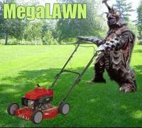 MegaLAWN