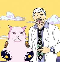 Cute cat | /r/ShitPostCrusaders/