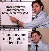More squirrels and raccoons have been arrested Than anyone on Epstein's client list
