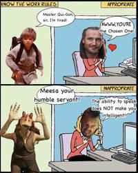 KNOW THE WORK RULES Master Qui-Gon, sir, I'm tired! Meesa your humble servant! APPROPRIATE AWWW.YOU'RE the Chosen One! INAPPROPRIATE The ability to speak does NOT make you intelligent!