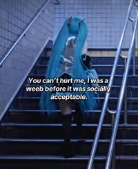 You can't hurt me, I was a weeb before it was socially acceptable.