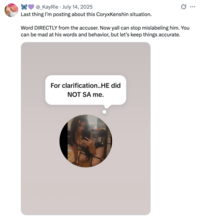 X user @_KayRie posted a screenshot of @PandaNinjaxxOfficial's post clarifying that CoryxKenshin did not sexually assault her, and that her allegations are only about supposed emotional and mental abuse on his part. The caption on the post read, "Word DIRECTLY from the accuser. Now yall can stop mislabeling him. You can be mad at his words and behavior, but let’s keep things accurate."