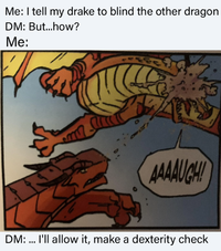 Me: I tell my drake to blind the other dragon DM: But...how? Me: m AAAAUGH! DM: ... I'll allow it, make a dexterity check