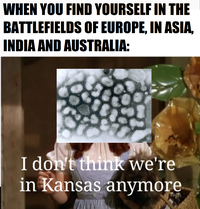 WHEN YOU FIND YOURSELF IN THE BATTLEFIELDS OF EUROPE. IN ASIA. INDIA AND AUSTRALIA: I don't think we're in Kansas anymore