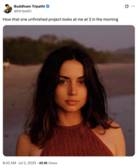 A "tweet":https://knowyourmeme.com/memes/sites/twitter-x using the Ana de Armas Beach Look photo, captioned, "How that one unfinished project looks at me at 3 in the morning."