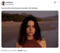 A "tweet":https://knowyourmeme.com/memes/sites/twitter-x using the Ana de Armas Beach Look photo, captioned, "How scuttle crab looks at me after the fullclear."