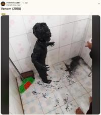 A meme posted to the /r/FakeHistoryp--n subreddit. The post calls a kid covered in mud Venom.