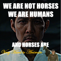 WE ARE NOT HORSES WE ARE HUMANS AND HORSES ARE Vy Hand No Animate is worried about the hard