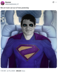 A "tweet":https://knowyourmeme.com/memes/sites/twitter-x showing "Superman":https://knowyourmeme.com/memes/subcultures/superman, played by David Corenswet in 2025 "_Superman_":https://knowyourmeme.com/memes/subcultures/superman-2025-film film, directed by James Gunn, captioned, "Me am took cat out of tree yesterday."