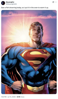 A "tweet":https://knowyourmeme.com/memes/sites/twitter-x showing "Superman":https://knowyourmeme.com/memes/subcultures/superman, played by David Corenswet in 2025 "_Superman_":https://knowyourmeme.com/memes/subcultures/superman-2025-film film, directed by James Gunn, captioned, "Saw a fish drowning today, so I put it in the oven to warm it up."