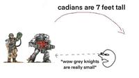 cadians are 7 feet tall "wow grey knights are really small"