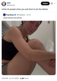 X user @emssult quoted a post showing pop singer Lorde sitting on her floor and crying with a caption that read, "white nb people when you ask them to do the dishes." The post gathered over 4 million views and 70,000 likes in five days.
