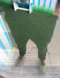 These grass pants?