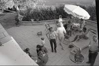 A garden party, 1973
