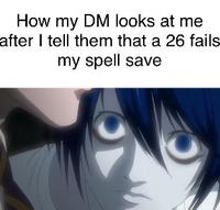 How my DM looks at me after I tell them that a 26 fails my spell save