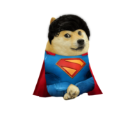 Le new Superman has arrived | /r/dogelore