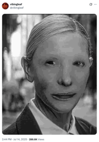 X user @vibingleaf posted an edited version of the Cate Blanchett _Squid Game_ meme, depicting her with all the lines on her face smoothed out.