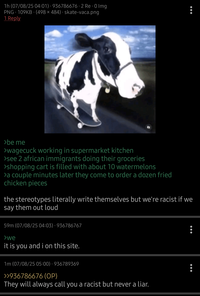 1h (07/08/25 04:01) 936786676.2 Re- 0 Img PNG. 109KB. (498 × 484) · skate-vaca.png 1 Reply 0 >be me >wagecuck working in supermarket kitchen >see 2 african immigrants doing their groceries >shopping cart is filled with about 10 watermelons >a couple minutes later they come to order a dozen fried chicken pieces the stereotypes literally write themselves but we're racist if we say them out loud 59m (07/08/25 04:03) 936786767 >we it is you and i on this site. 1m (07/08/25 05:00) 936789369 >>936786676 (OP) They will always call you a racist but never a liar.