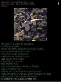 1d (07/16/25 16:08) 63990786 33 Re 10 Img JPG⚫ 273KB (1440 × 1439) · 1731575754581.jpg 10 Replies >be the best plane of it's generation >3 different models >share 90% of the production between models >can be launched from a carrier >multirole, can do everything >best air to air missiles to date >top tier anti ship missile >literal flying computer >can drop the nuke >can see and jam your missiles at 360deg >very high sortie rates >helmet can show target through the plane >futuristic sensor fusion, can shoot missiles in it's back >get upgraded over time, like fine wine god I love the rafale, pic unrelated btw.