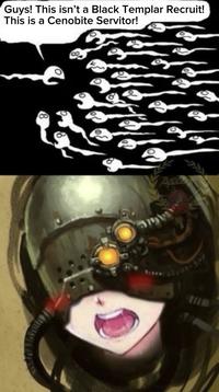 Guys! This isn't a Black Templar Recruit! This is a Cenobite Servitor! 8 BLOODAR tal