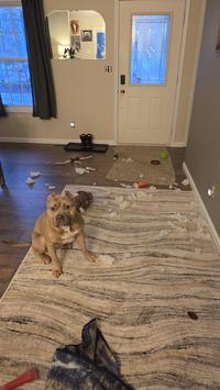 It just exploded