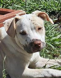 Totally wasn't digging up the garden