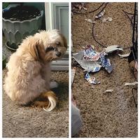 He's sorry