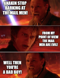 ANAKIN STOP BARKING AT THE MAIL MEN! WELL THEN YOU'RE A BAD BOY! FROM MY POINT OF VIEW THE MAIL MEN ARE EVIL!