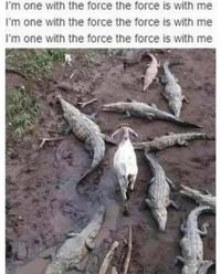I'm one with the force the force is with me I'm one with the force the force is with me I'm one with the force the force is with me