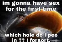im gonna have sex for the first time which hole do i pee in ?? I forgort.