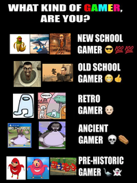 WHAT KIND OF GAMER, ARE YOU? (0 A AMOGUS NEW SCHOOL GAMER 100 100 OLD SCHOOL GAMER RETRO GAMER PS4 BIG CHUNGUS HELLO ANCIENT GAMER PRE-HISTORIC GAMER