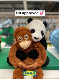 HR approved IKEA