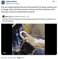 On July 20th, 2025, X user @Rad_Sherwoodism quoted a video of Black Pearl the mini therapy horse playing the piano for a hospitalized child coming out of anesthesia, writing, "Can you imagine being some poor kid pumped full of drugs, waking up to a strange noise, and what you see is a horse, but the wrong size, and it looks like a nurse is trying to feed it a piano?"