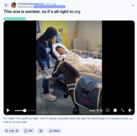 Redditor /u/Itsforthehouse reposted the video of Black Pearl playing the piano for a hospitalized child coming out of anesthesia to the subreddit /r/IThinkYouShouldLeave, gathering over 2,000 upvotes for a post that read, "This one is somber, so it's all right to cry."