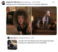 X user @alamofilmguy quoted the post of a mini therapy horse playing the piano for a hospitalized child, writing, "Waking up from anesthesia like you’re in a Lynchian nightmare." The post gathered over 1,300 likes in a day.