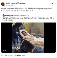 X user @male_wife_ quoted the video of the mini therapy horse playing the piano, writing, "do you know how badly i wish i had woken up from jaw surgery with horse piano instead of adam sandlers click."