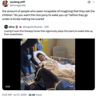 On July 21st, 2025, X user @tronsgender tweeted, "the amount of people who seem incapable of imagining that they ask the children “do you want the nice pony to wake you up” before they go under is kinda making me scared."