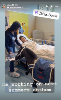 Musician Diplo shared a reel of a mini therapy horse playing the piano to wake a hospitalized child from anesthesia, writing, "Me working on next summers anthem."