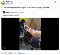 X user @blephin_ quoted a sped-up version of the Mini Therapy Horse video, writing, "10 year coma patient waking up to the piano playing pony ❤️" and gathering over 10,000 likes in a day.