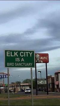 ITED ELK CITY IS A BIRD SANCTUARY KFC drive thru 20 MOLLAR