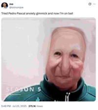 Joe @totnumjoe Tried Pedro Pascal anxiety gimmick and now I'm on bail SEASON 5 • 5:48 PM ⚫ Jul 23, 2025 275.1K Views Q